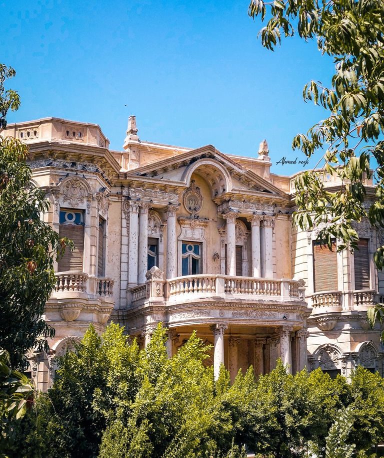 المصور أحمد رزق