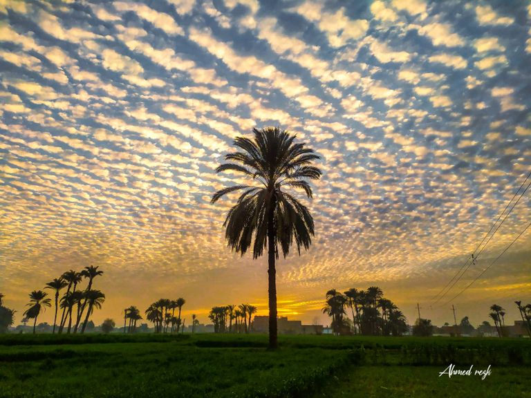 المصور أحمد رزق