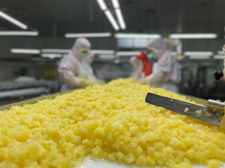 التكنولوجيا الرقمية تدعم القطاع الزراعي في الصين بكافة مراحله