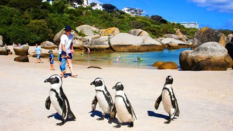  شاطئ بولدرز أحد أماكن السياحة في جنوب أفريفيا للاطفال