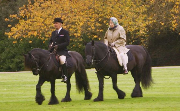 حصان الملكة إليزابيث يقف في قلعة وندسور لحظة وصول الجنازة الملكية