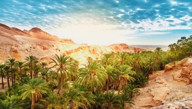 أماكن طبيعية في تونس تشمل أجمل 4 منتزهات وطنية