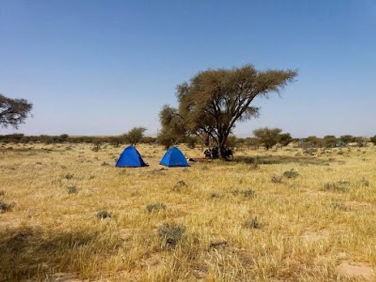 حديقة بوهدمة الوطنية ضمن أماكن طبيعية في تونس أماكن طبيعية في تونس تشمل أجمل 4 متنزهات وطنية