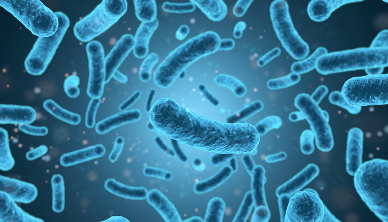 الأطعمة النيئة تهدد صحة الحامل والجنين