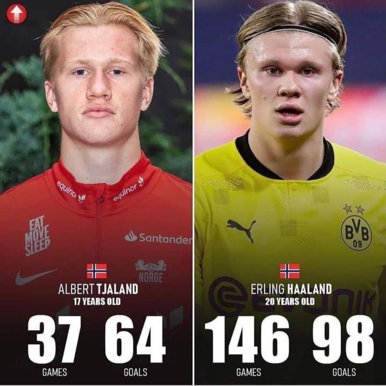 ألبرت هالاند