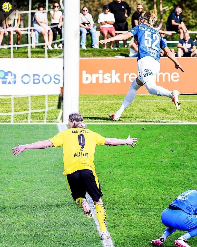 ألبرت هالاند