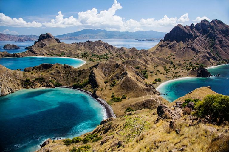 جزر كومودو وفلوريس أحد أماكن السياحة في إندونيسيا