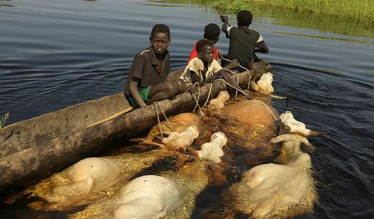الفيضانات غمرت معظم جنوب السودان