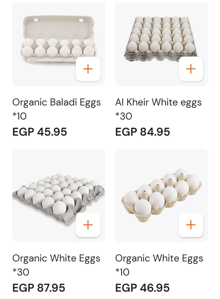 أسعار البيض الأبيض اليوم في مصر صعود كبير لأسعار البيض في مصر