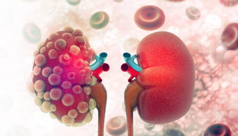 وزير الصحة المصري