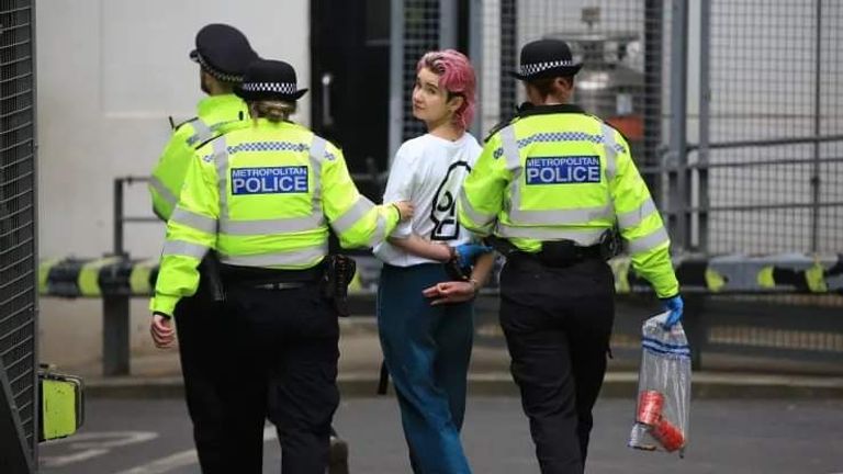 توقيف ناشطة بعد تلطيخها لوحة فان جوخ 