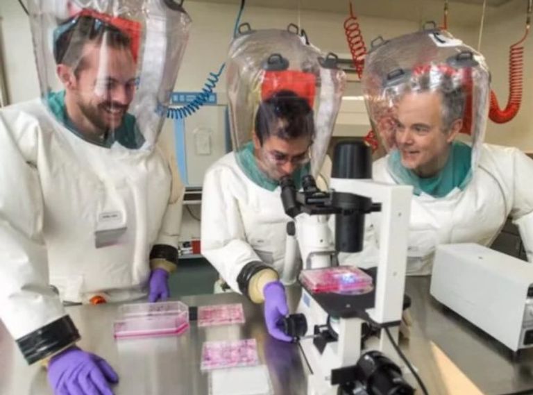 باحث يجري تجاربه على فيروس كورونا داخل مختبر