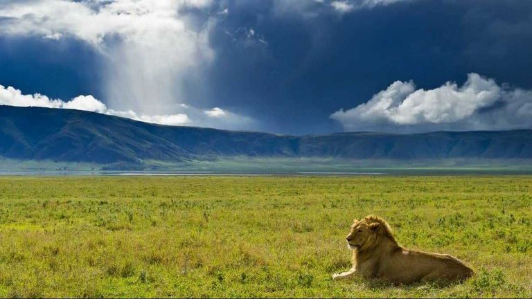 نجورونجورو واحدة من أجمل الأماكن السياحية في تنزانيا 10 من أجمل الأماكن السیاحیة في تنزانيا في أرض العجائب