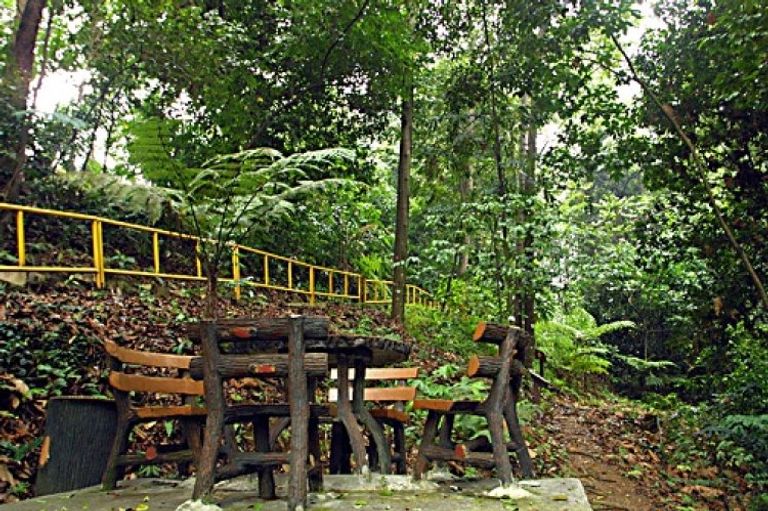 تعد محمية Bukit Nanas Jungle Reserve أهم مناطق الجذب السياحي في كوالالمبور