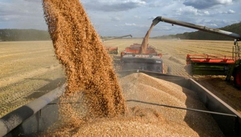 روسيا تعتزم إلغاء القيود على تصدير الحبوب