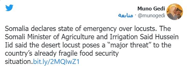 سرب من طيور الزرازير فوق حقل زراعي - أرشيفية