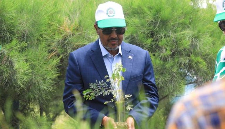 الرئيس الصومالي حسن شيخ محمود يزرع شجرة