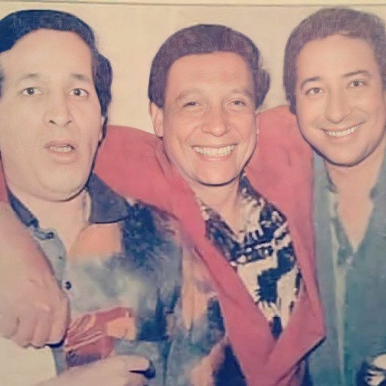 الفنان المصري صلاح السعدني