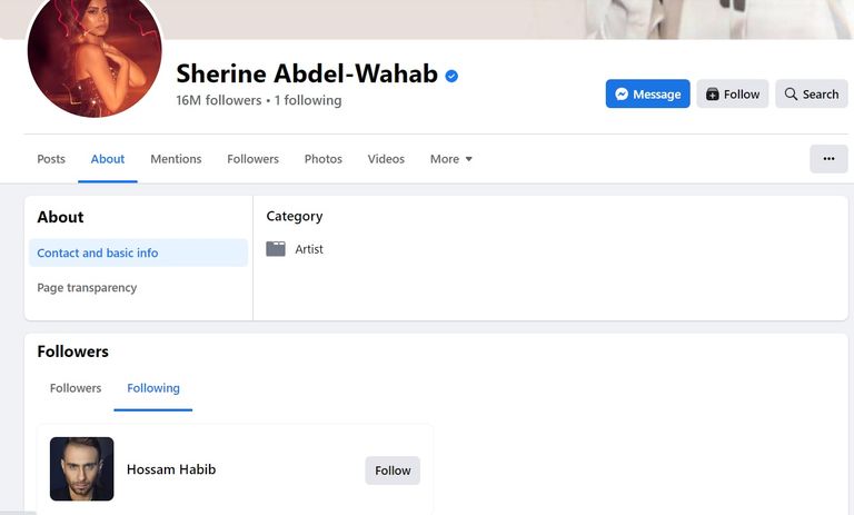 شيرين عبدالوهاب وحسام حبيب - أرشيفية