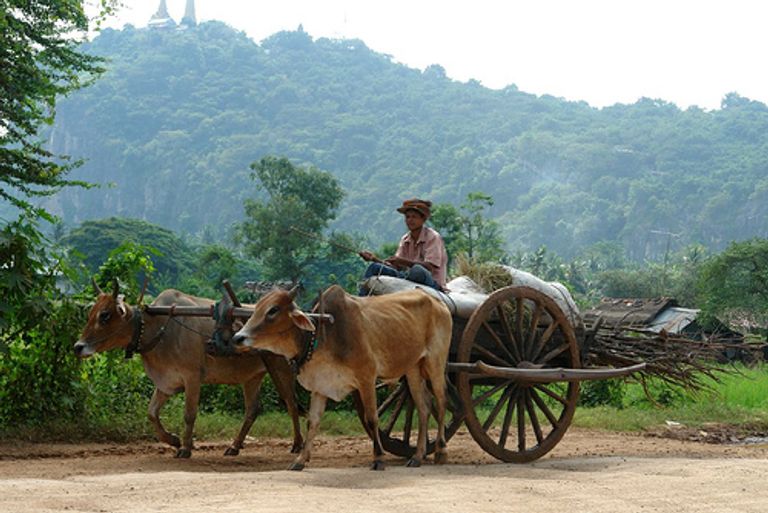 باتامبانغ واحدة من أجمل مدن كمبوديا أجمل مدن كمبوديا.. 6 مفاجآت في رحلة لا تنسى