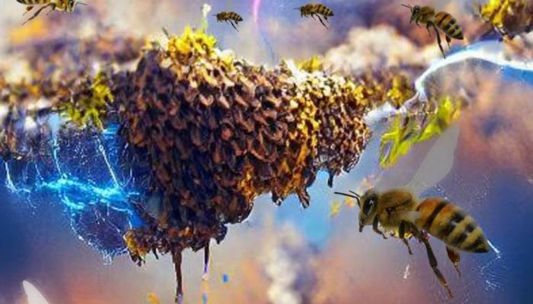 أسراب خلايا نحل العسل تغير كهرباء الغلاف الجوي