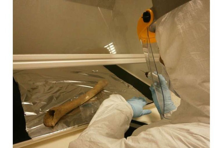 عينة تم العثور عليها في أحد الكهوف