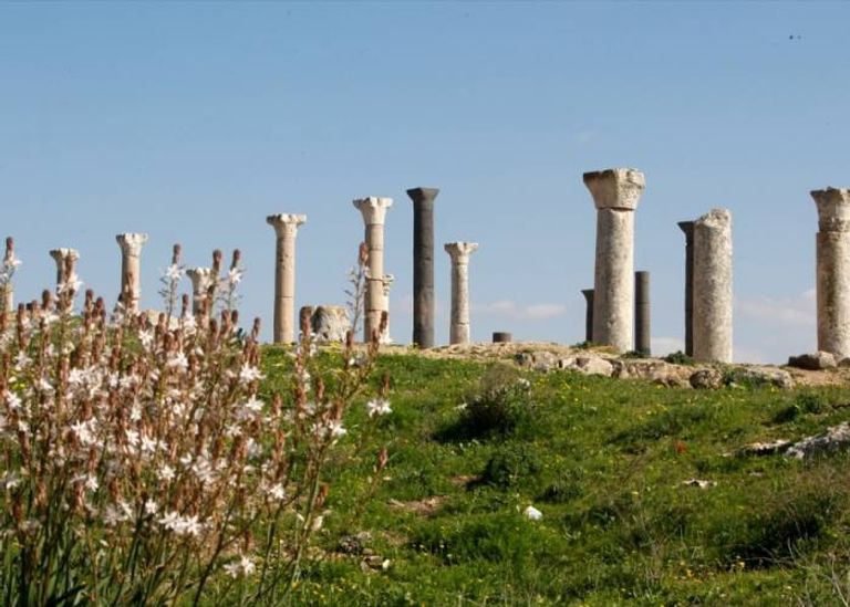 أبيلا أحد أهم المعالم السياحية في الأردن أهم المعالم السياحية في الأردن.. 6 معالم في زيارة عبر التاريخ