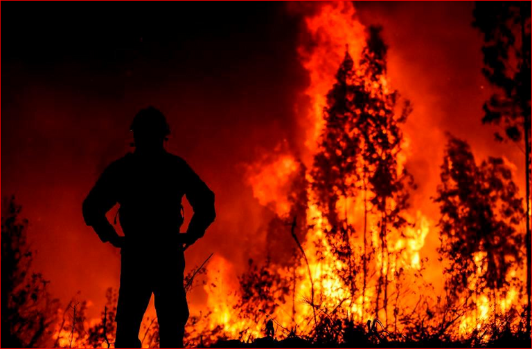 حرائق الغابات في إسبانيا