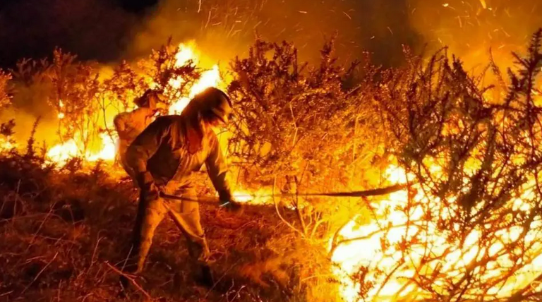 حرائق الغابات في إسبانيا