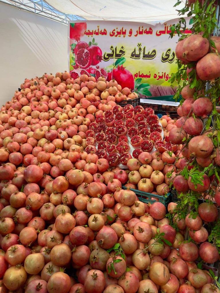 مهرجان الرمان في كردستان العراق