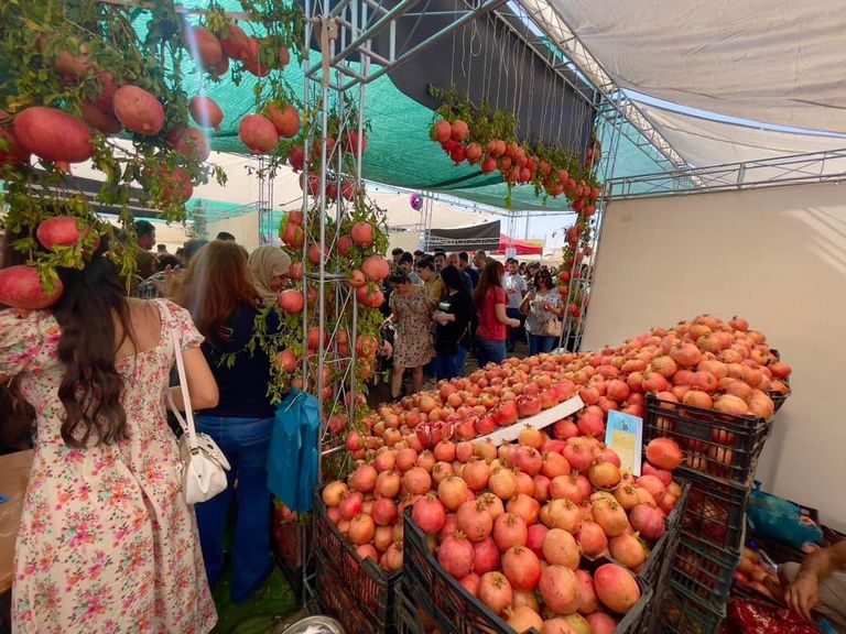 مهرجان الرمان في كردستان العراق
