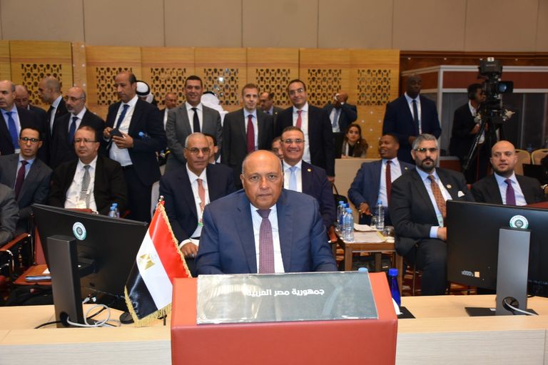 جانب من اجتماعات وزراء الخارجية العرب في الجزائر