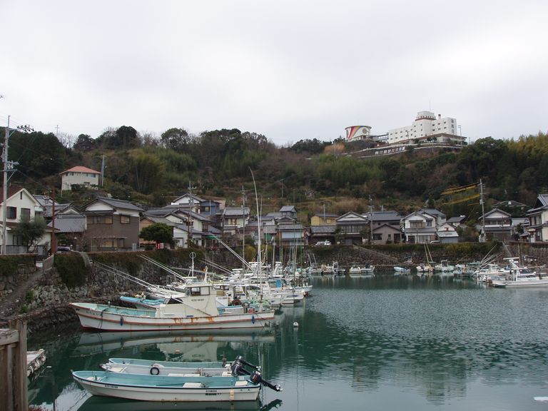 ميناء كوتشي أحد معالم كيرلا السياحية 5 معالم كيرلا السياحية… زيارة إلى