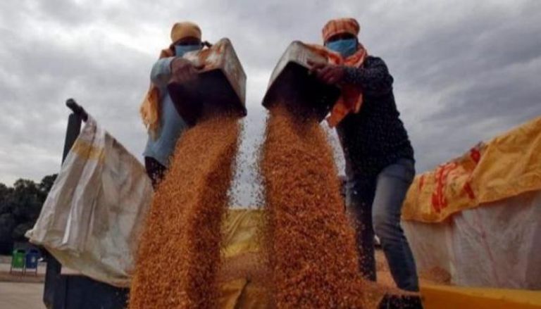 هل تنهي ممرات التضامن أزمة القمح؟