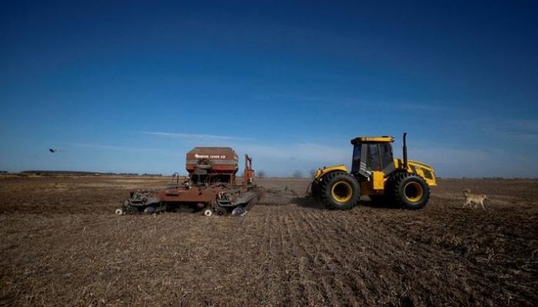 بذر زراعة القمح في الأرجنتين- رويترز 
