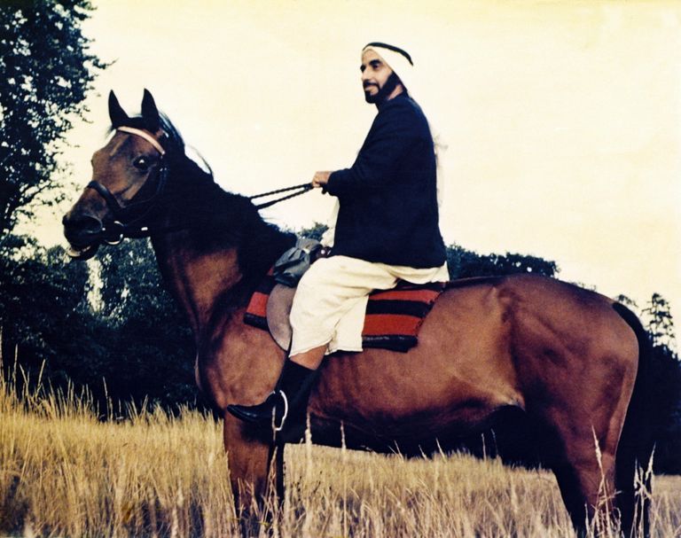 الشيخ زايد بن سلطان آل نهيان