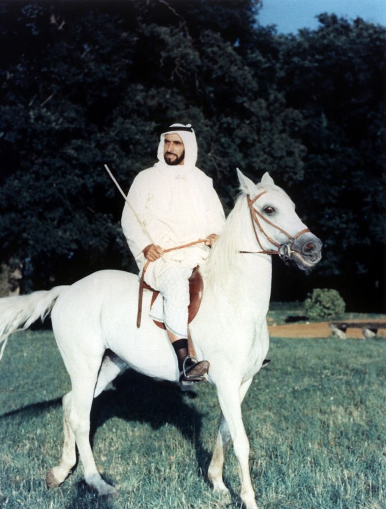 الشيخ زايد بن سلطان آل نهيان