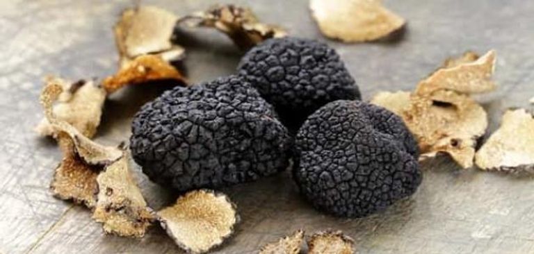 شريحة لحم (ستيك)