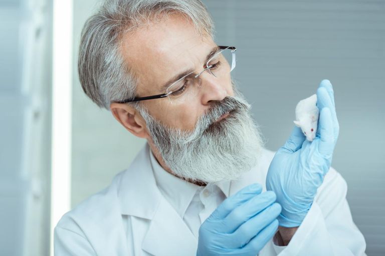 طبيبة تجري أبحاثا في المختبر - أرشيفية