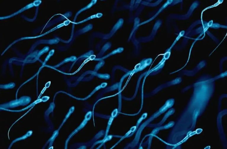 تلوث الهواء يحاصر أناسا في الشارع - أرشيفية