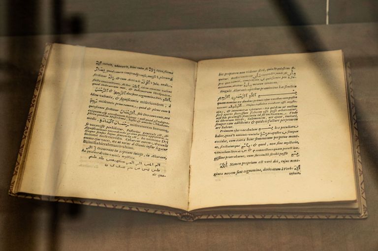 جانب من المعروضات