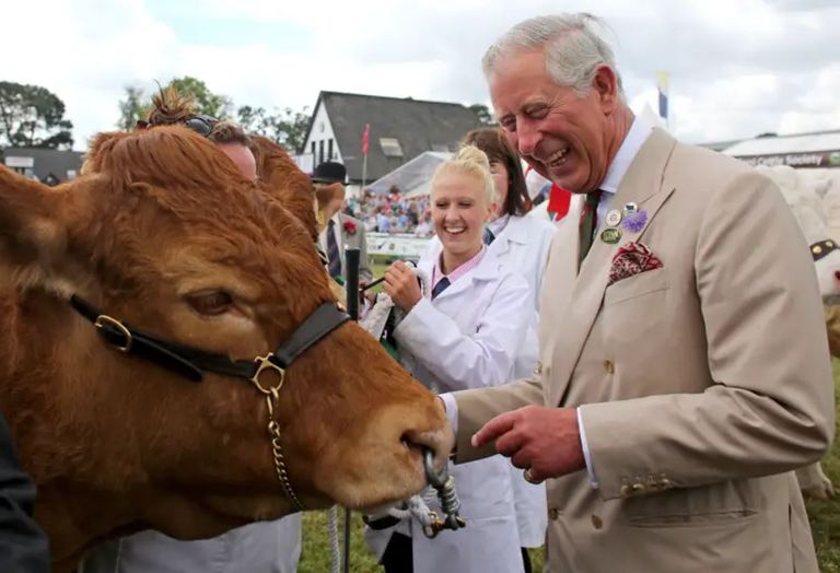 الملك تشارلز في زي