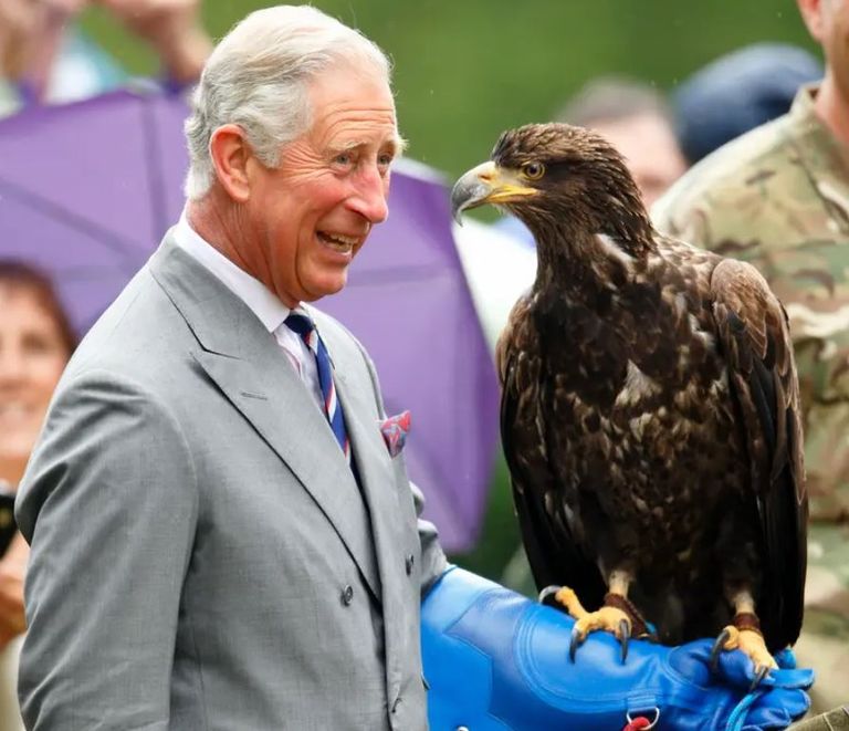 الملك تشارلز في زي