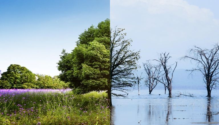 الحفاظ على البيئة يساعد في حل أزمة المناخ- تعبيرية