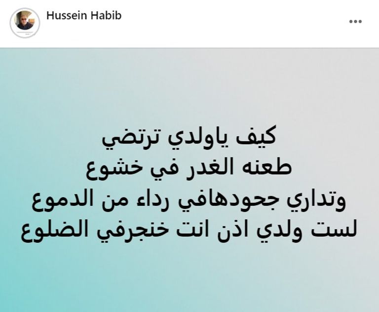 حسام حبيب وسط والده وشيرين عبدالوهاب - أرشيفية