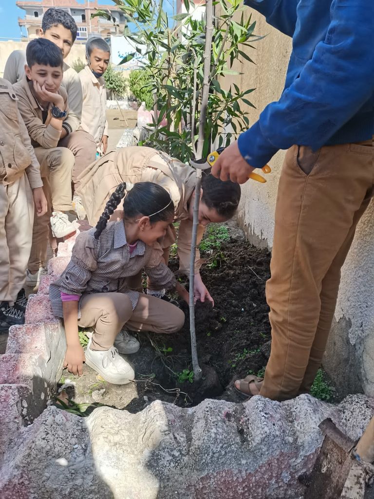 إحدى حملات مبادرة "شجرها" في المدارس المصرية عمر الديب مؤسس مبادرة