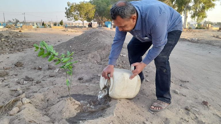 إحدى حملات مبادرة "شجرها" في المحليات عمر الديب مؤسس مبادرة