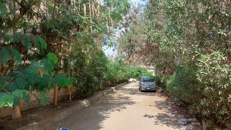 جانب من حملات مبادرة "شجرها" عمر الديب مؤسس مبادرة