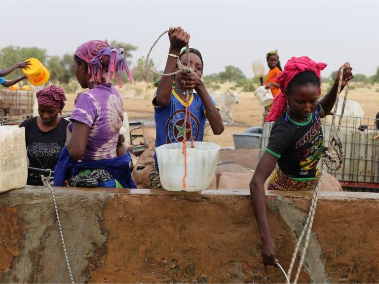 الجفاف يضرب أراضي أفريقية - أرشيفية
