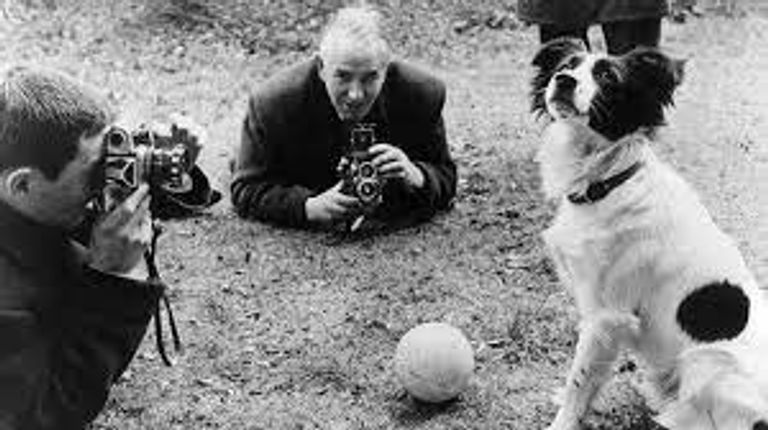 الكلب الذي سرق كأس العالم الشرطة تعيد كأس العالم المسروقة